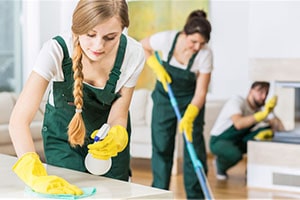 Premium Apartment Cleaning & Maintenance